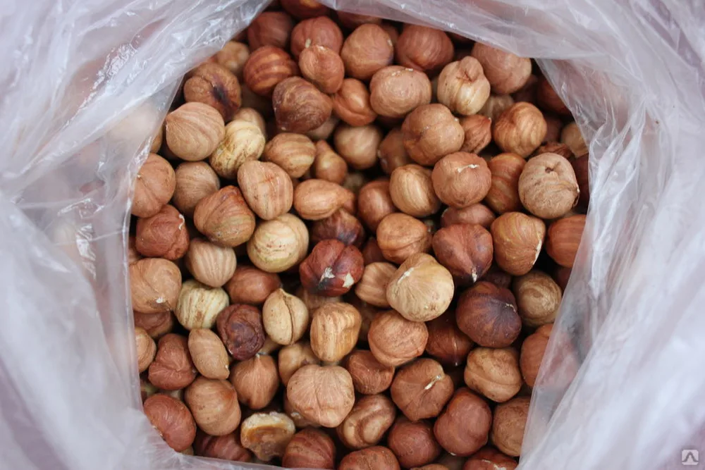 تصویر 4 از فندق طلایی درجه یک با کیفیت ویژه